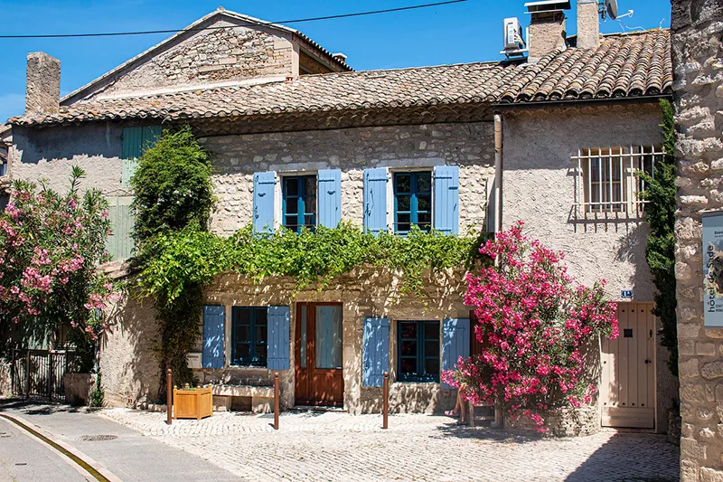 Découverte de Saint-Rémy-de-Provence : perle des Alpilles